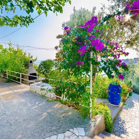 Zarko 아파트 Banjol