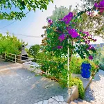 Zarko Apartamento Banjol